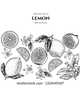 Vector frame with lemons and flowers. Hand drawn. Vintage style