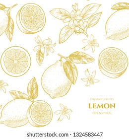 Vector frame with lemons and flowers. Hand drawn. Vintage style
