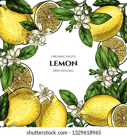 Vector frame with lemons and flowers. Hand drawn. Vintage style