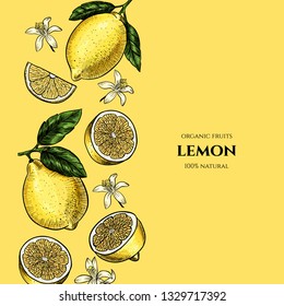 Vector frame with lemons and flowers. Hand drawn. Vintage style