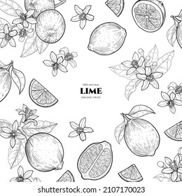 Vector frame with  limes. Sketch vector food illustration. Vintage style