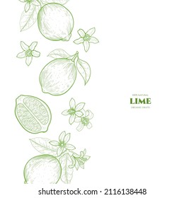 Vektorrahmen mit Limetten. Skizze, Vektorgrafik von Lebensmitteln. Vintage-Stil