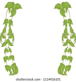 Vector frame made from leaves and twigs for decorating events isolated on white background, blanking up a postcard advertising