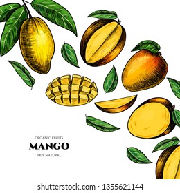 Vector frame with mango. Hand drawn. Vintage style