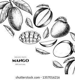 Vector frame with mango. Hand drawn. Vintage style