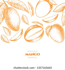 Vector frame with mango. Hand drawn. Vintage style