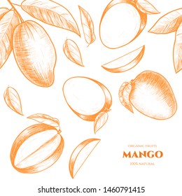Vector frame with mango .Hand drawn. Vintage style