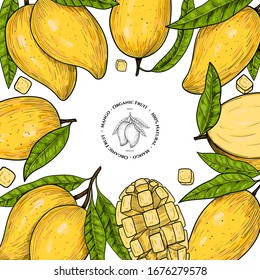 Vector frame with mango. Hand drawn. Vintage style