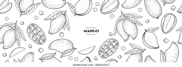 Vector frame with mango. Vector seamless pattern. Hand drawn illustrations.