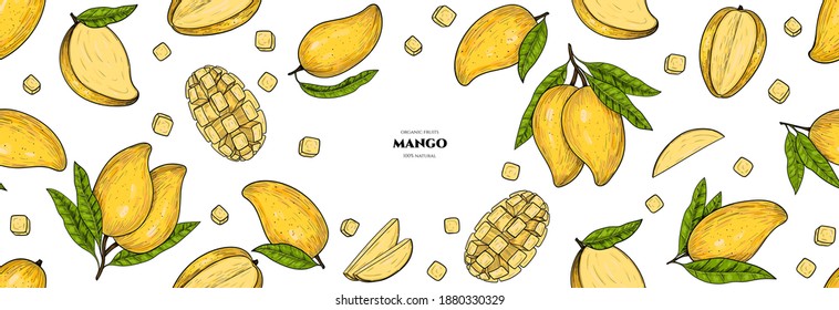 Vector frame with mango. Vector seamless pattern. Hand drawn illustrations.