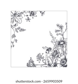 Marco de Vector de flores silvestres del prado, hierbas, plantas. Diferentes flores en hermoso diseño para invitación de boda, tarjeta de felicitación. Estilo Antiguas