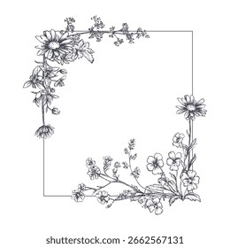 Moldura vetorial de flores silvestres de prado, ervas, plantas. Diferentes flores em belo design para convite de casamento, cartão de saudação. Estilo vintage