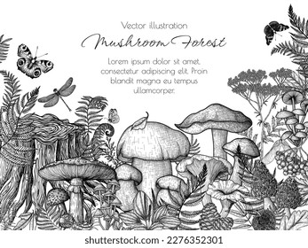 Vektorrahmen von Pilzen im Wald im Gravierstil. Grafische Linearfliege agaric, chanterelles, porcini mushroom, honigpilze, morels, mycena, oooooooosus, boletus umgeben von Pflanzen