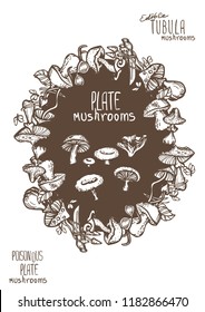 Vector frame with Mushrooms, hand drawn template. Lingonberry background.