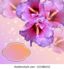 Vector frame on background with lovely flowers
