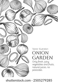 Vector frame of onion. Whole vegetable, halves, slices, rings, pieces