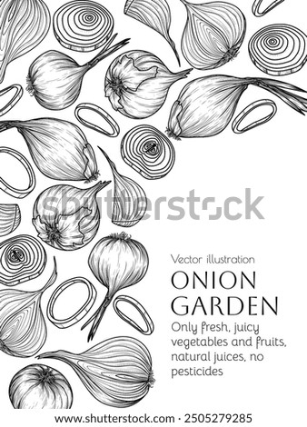 Vector frame of onion. Whole vegetable, halves, slices, rings, pieces