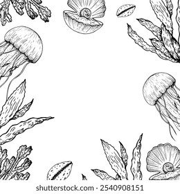 Vector frame with opened oyster seashell with pearl, coral, jellyfish, seaweed, laminaria. Hand painted line sketch. Graphic tropical clip art isolated on background. Underwater illustration. For desi