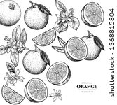 Vector frame with oranges and flowers .Hand drawn. Vintage style