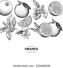 Vector frame with oranges and flowers. Hand drawn. Vintage style