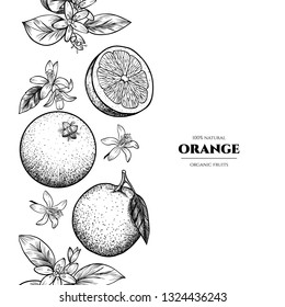 Vector frame with oranges and flowers. Hand drawn. Vintage style