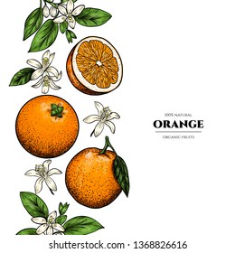 Vector frame with oranges and flowers .Hand drawn. Vintage style