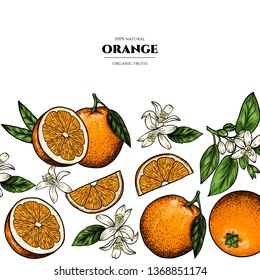 Vector frame with oranges and flowers .Hand drawn. Vintage style