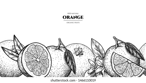Vector frame with oranges and flowers .Hand drawn. Vintage style