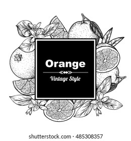 Vector frame with oranges and flowers. Hand drawn. Vintage style