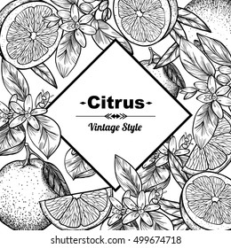 Vector frame with oranges and flowers. Hand drawn. Vintage style