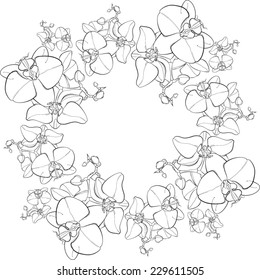 Vector frame with orchids