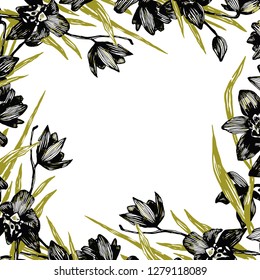 Vector frame of orchids blossoms. Graphic botanical illustration.