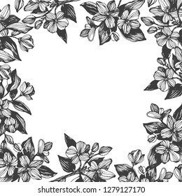 Vector frame of orchids blossoms. Graphic botanical illustration.