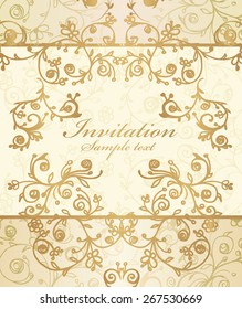 Vector frame and ornate pattern