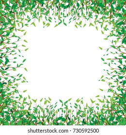Vector frame pattern background branches with green leaves on white background.