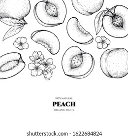 Vector frame with peach. Hand drawn. Vintage style