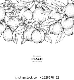 Vector frame with peach. Hand drawn. Vintage style