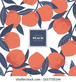 Vector frame with peach. Hand drawn. Vintage style