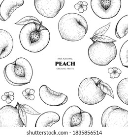 Vector frame with peach. Hand drawn. Vintage style