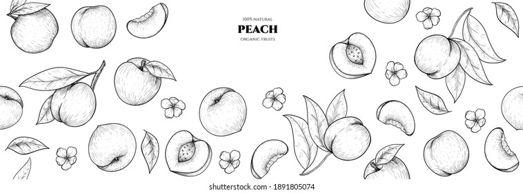 Vector frame with peach. Hand drawn. Vintage style