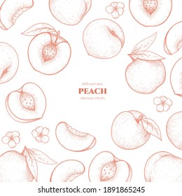 Vector frame with peach. Hand drawn. Vintage style