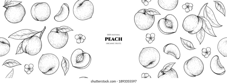 Vector frame with peach. Hand drawn. Vintage style