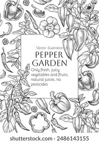 Vector frame of peppers. Pepper on a branch, bell pepper, chilli, half, slices, pieces