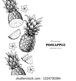 Vector Frame With Pineapple. Hand Drawn. Vintage Style