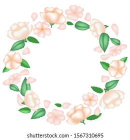 Vector of frame with pink flowers.Decorative element for card,banner,poster,website.Isolated on white background.3d