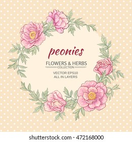 vector frame with pink  peonies on color background 