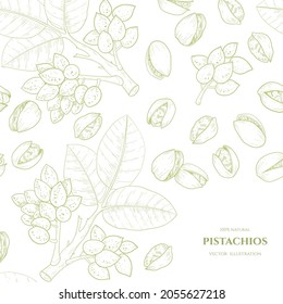 Vector frame with  pistachios. Hand drawn illustrations. Botanical drawing.Vintage style.Nut collection. 