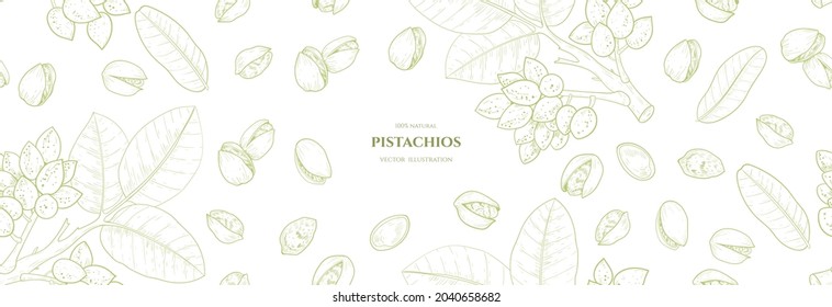 Vektorrahmen mit Pistazien. Vektornahtloses Muster. Handgezeichnete Illustrationen. Botanische Zeichnung. Vintage-Stil. Nut Collection. 