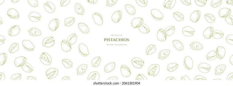 Vector frame with  pistachios. Vector seamless pattern. Hand drawn illustrations. Botanical drawing. Vintage style. Nut collection. 
