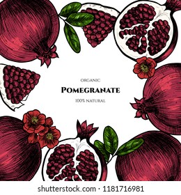 Vector frame with pomegranate. Hand drawn. Vintage style